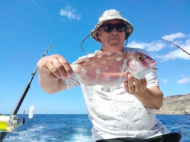 Amberjack-beaivi. White Marlin Gran Canaria