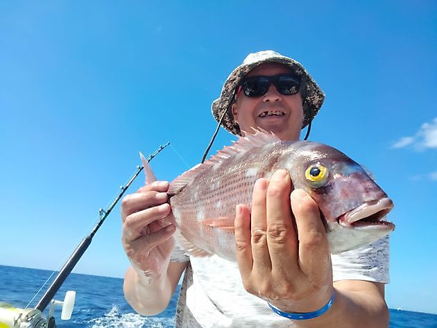 Amberjack day. White Marlin Gran Canaria