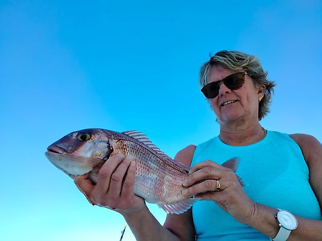 Toller Angeltag wieder mit Lebendköder. White Marlin Gran Canaria