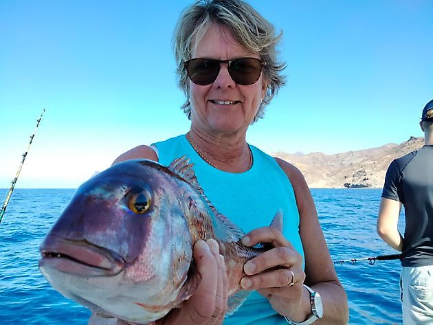 The live bait fishing adventure continues. White Marlin Gran Canaria