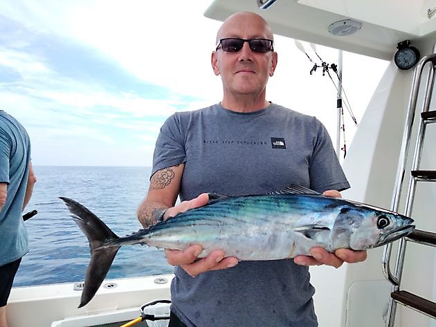 Bivdu ealli biergguin. White Marlin Gran Canaria