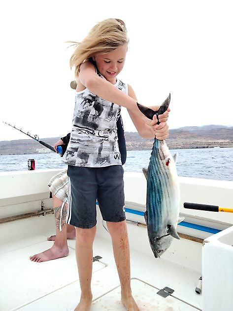 Tag der Bernsteinmännchen. White Marlin Gran Canaria