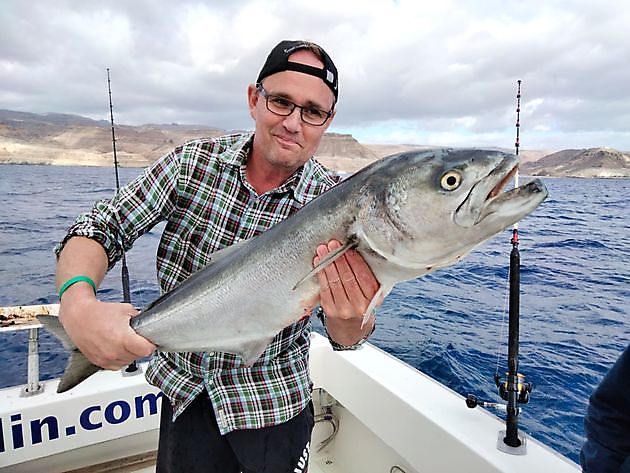 Det levende agnfiskeeventyret fortsetter. White Marlin Gran Canaria