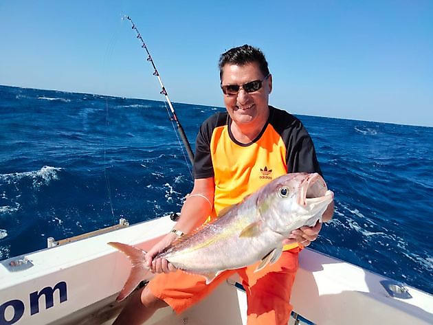 Ahí vamos de nuevo. White Marlin Gran Canaria