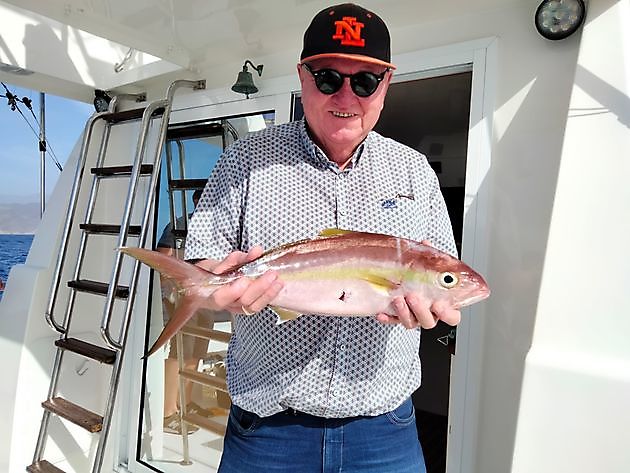 Red Snappers-dag. White Marlin Gran Canaria