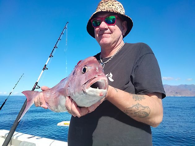 Red Snappers beaivi. White Marlin Gran Canaria