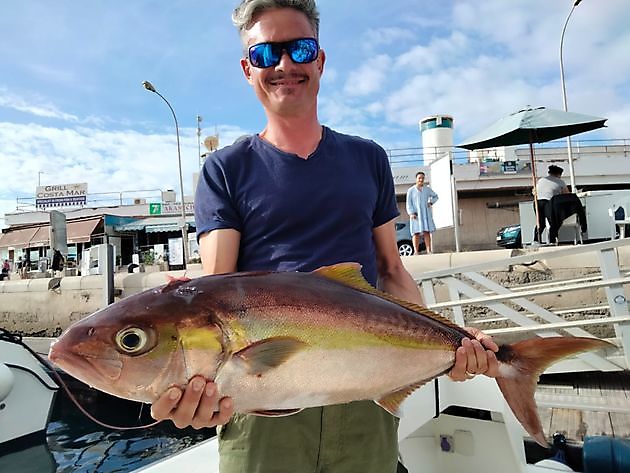 Luossabivdu. White Marlin Gran Canaria