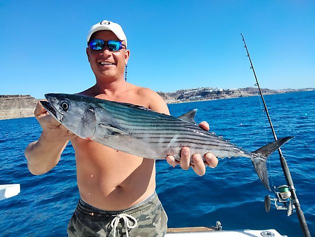 Fiske Amberjack. White Marlin Gran Canaria