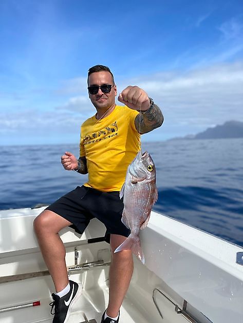 Heute mehr Amberjacks. White Marlin Gran Canaria