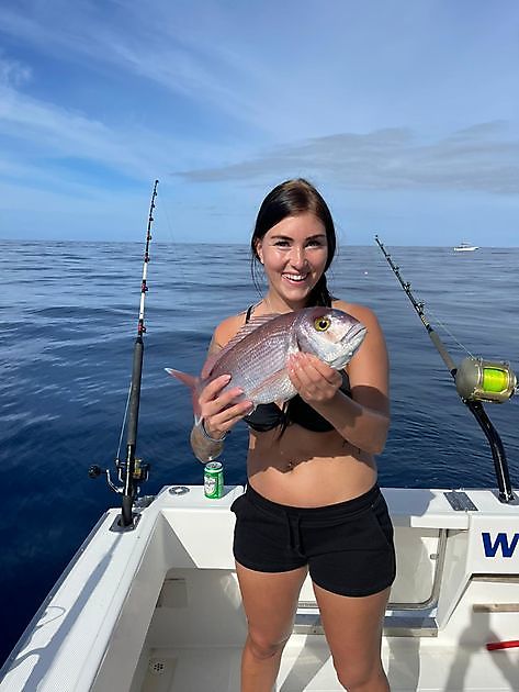 Nubbi beaivi Luossabivddus. White Marlin Gran Canaria