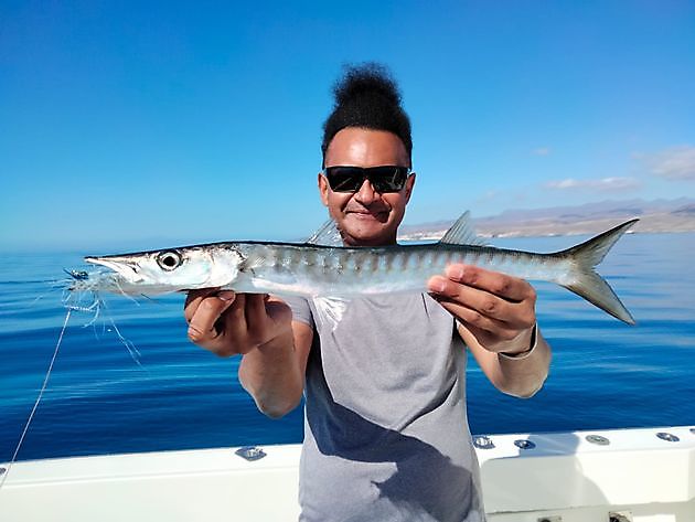 Nuorra gávttit. White Marlin Gran Canaria