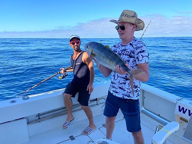 Boađe mielde guolástit. White Marlin Gran Canaria