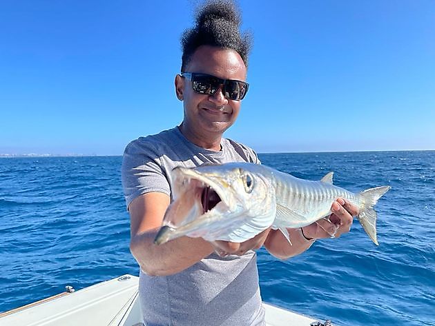 Frischer Tintenfisch als Köder. White Marlin Gran Canaria