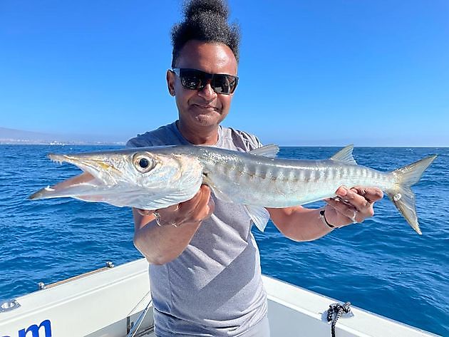 Fersk blekksprut til agn. White Marlin Gran Canaria