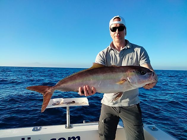 Algunas más a partir de hoy. White Marlin Gran Canaria