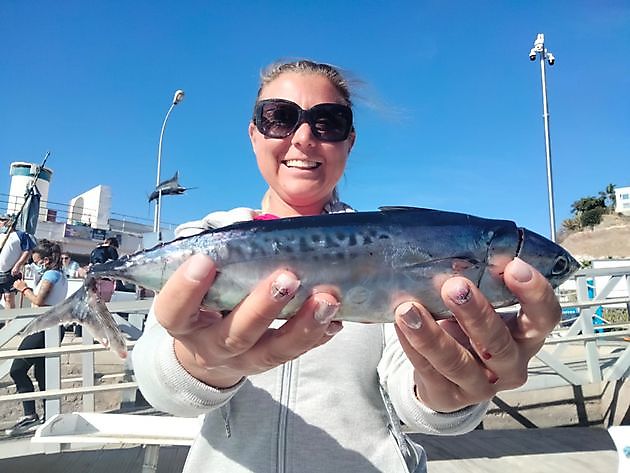 Jackpot White Marlin Gran Canaria