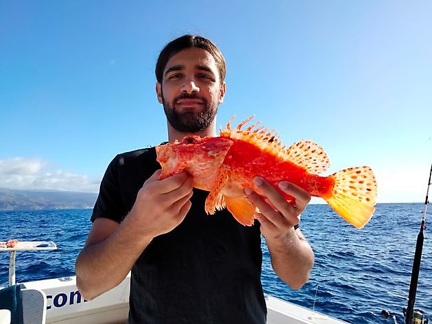 Jackpot White Marlin Gran Canaria