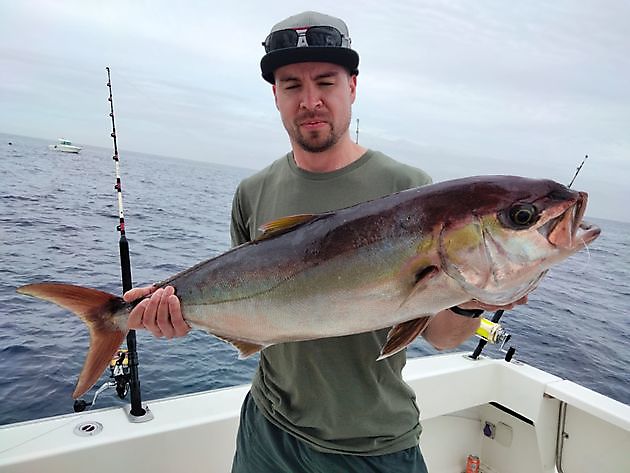 Homerun. White Marlin Gran Canaria