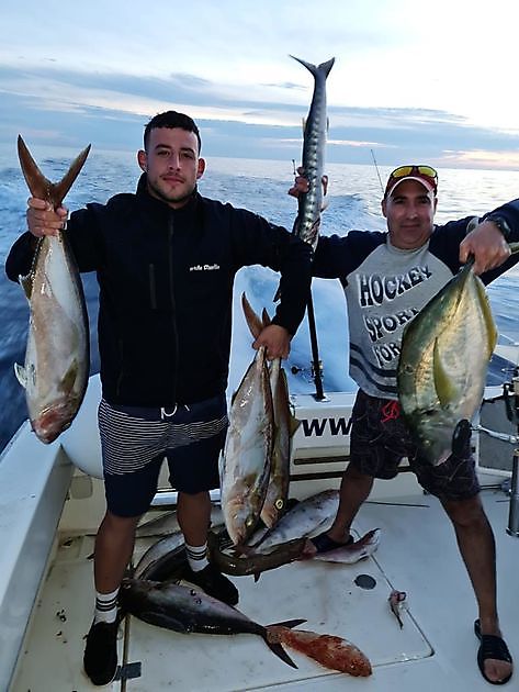 Amberjack explosie. White Marlin Gran Canaria