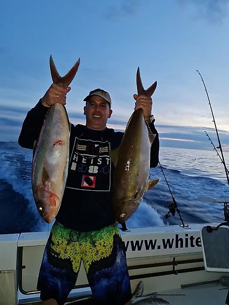 Amberjack-Explosion. White Marlin Gran Canaria