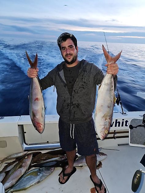 Amberjack-Explosion. White Marlin Gran Canaria