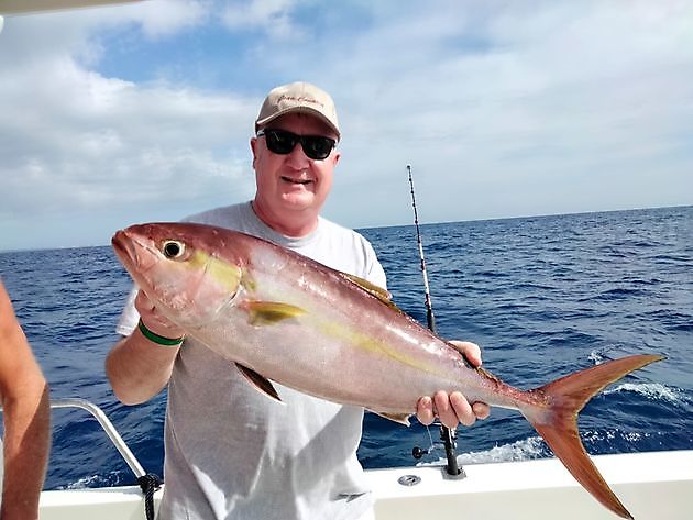 Salir a pescar de nuevo. White Marlin Gran Canaria