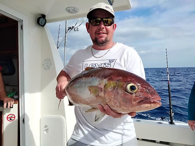 Olggos fas guolástit. White Marlin Gran Canaria