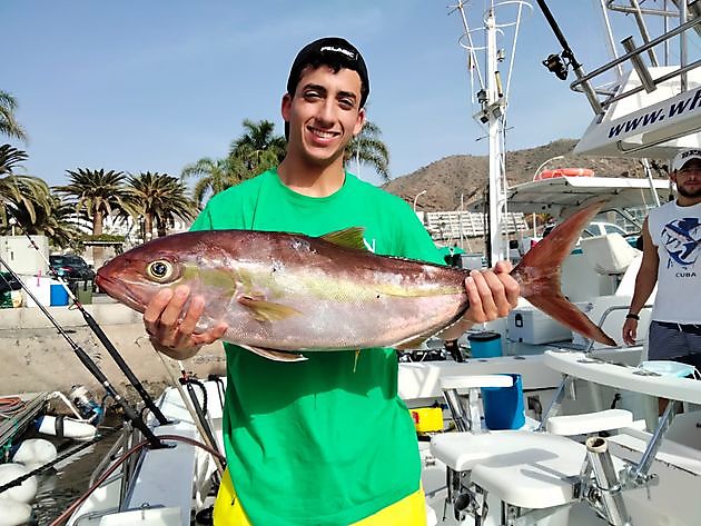 Angeln mit dem Wind. White Marlin Gran Canaria