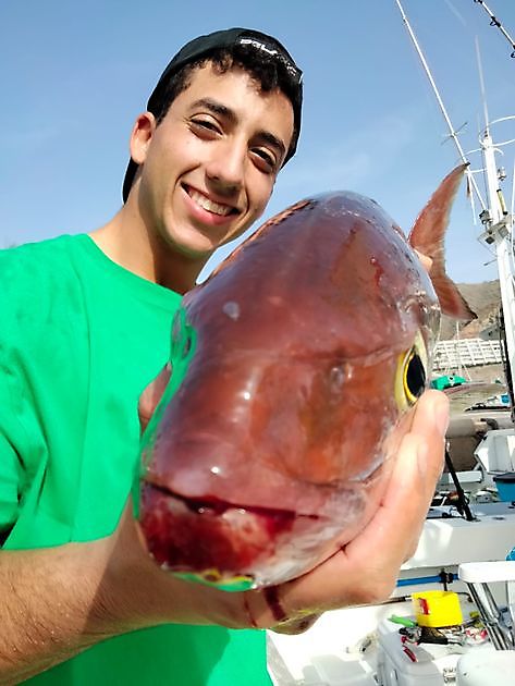 Bivdu biekkain. White Marlin Gran Canaria