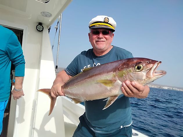 Einige der heutigen Fänge. White Marlin Gran Canaria