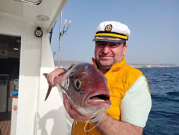 Enkele van de vangsten van vandaag. White Marlin Gran Canaria