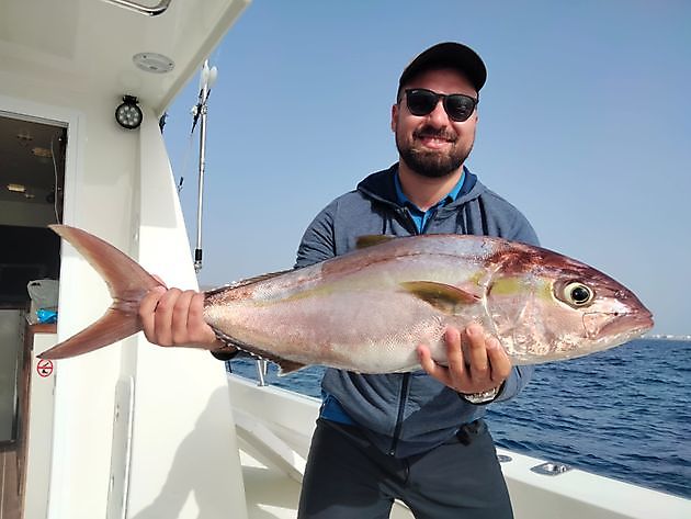 Pesca en agua dulce. White Marlin Gran Canaria