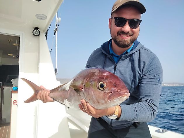 Čáhcebivdu. White Marlin Gran Canaria