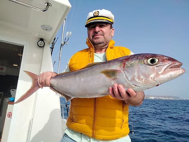 Fresh water fishing. White Marlin Gran Canaria