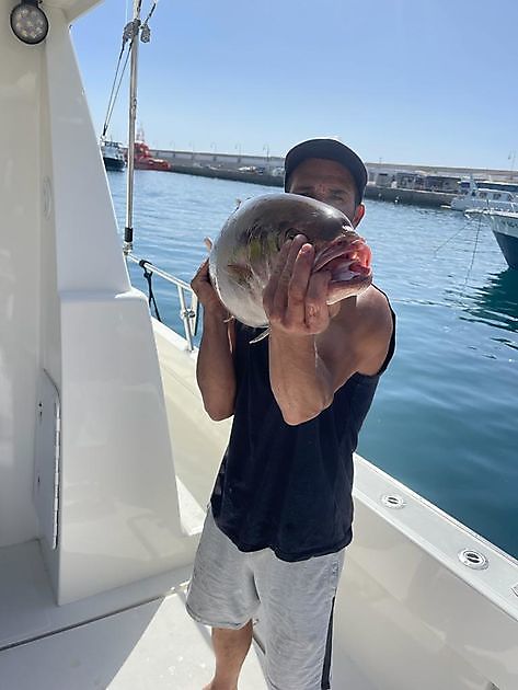 Vuosttaš beaivi guolásteamis. White Marlin Gran Canaria