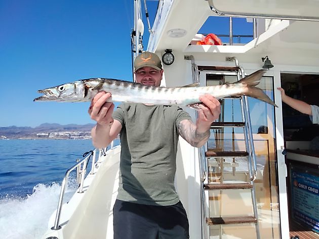 Noen plukker fra gårsdagens fisketur. White Marlin Gran Canaria