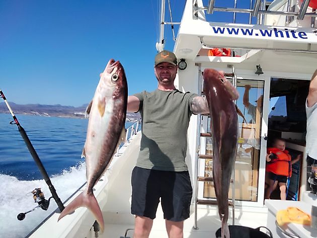 Ein paar Tipps vom gestrigen Angelausflug. White Marlin Gran Canaria