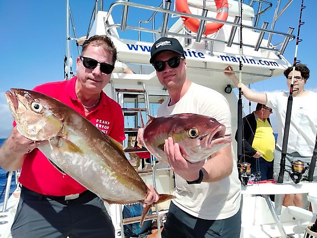 Charter compartido en el arrecife profundo. White Marlin Gran Canaria