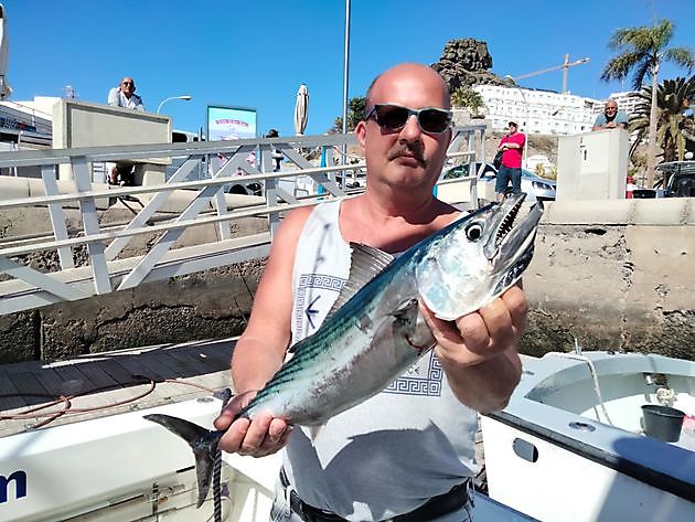 Today_s catch. White Marlin Gran Canaria