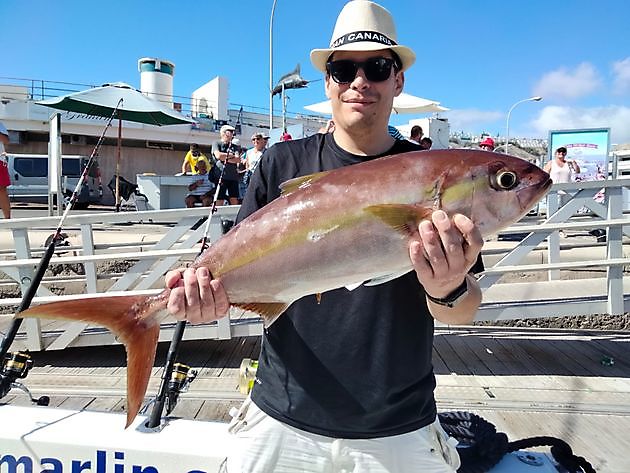 Privat charter White Marlin Gran Canaria