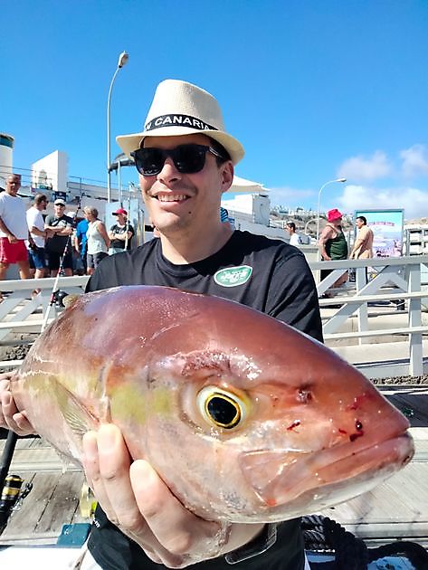 Gedeeld Handvest. White Marlin Gran Canaria