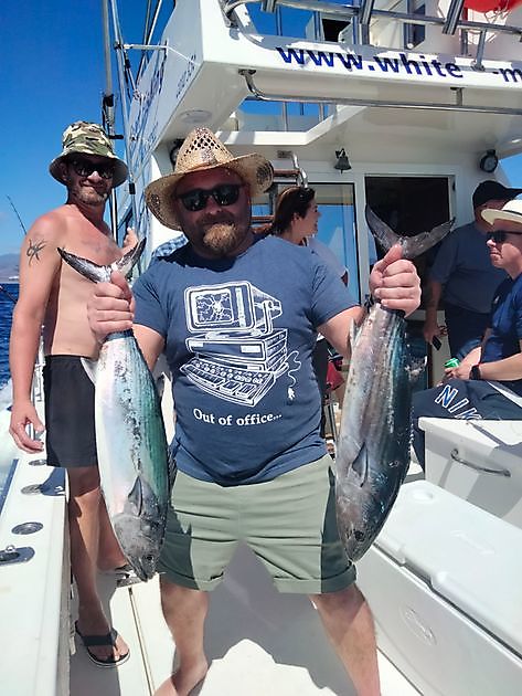 Oktasaš čállingoddi. White Marlin Gran Canaria