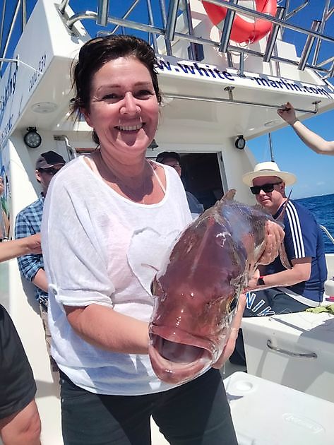 Starke Johannisbeeren. White Marlin Gran Canaria