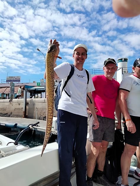 Oktasaš čállingoddi. White Marlin Gran Canaria