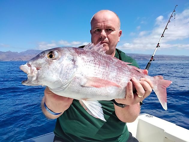 Oktasaš čállingoddi. White Marlin Gran Canaria