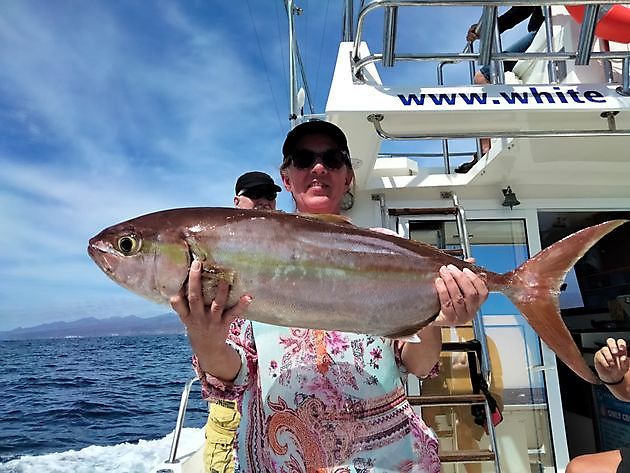 Jackpot White Marlin Gran Canaria