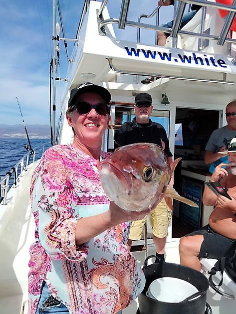 Jackpot White Marlin Gran Canaria