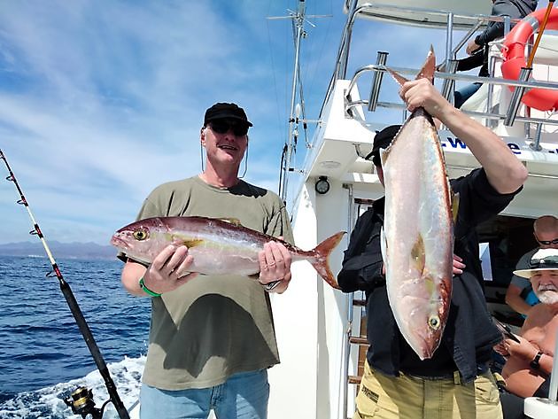 Jackpot White Marlin Gran Canaria