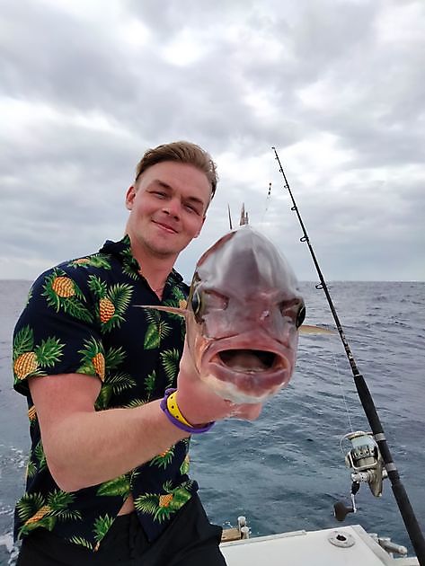 Fiske igjen. White Marlin Gran Canaria