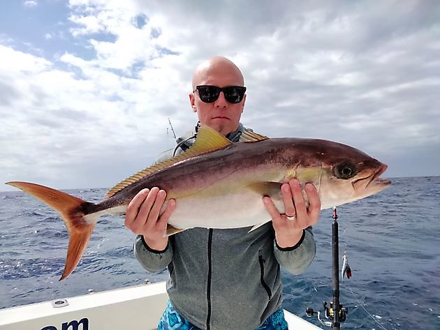 Pescando de nuevo. White Marlin Gran Canaria